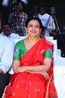Anakapalli Movie Pre Release Photos